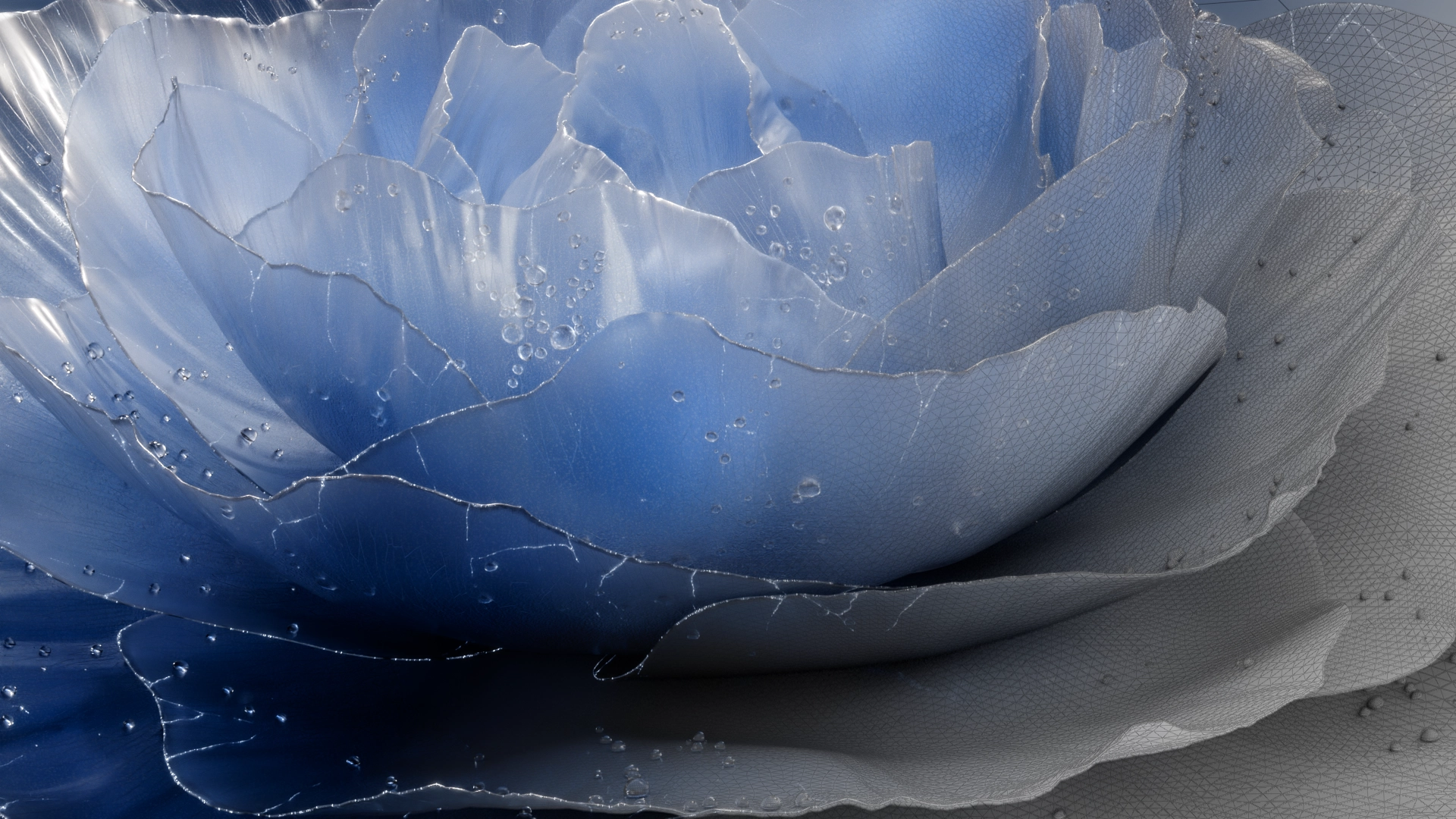 Project_PETALS_render_to_wireframe